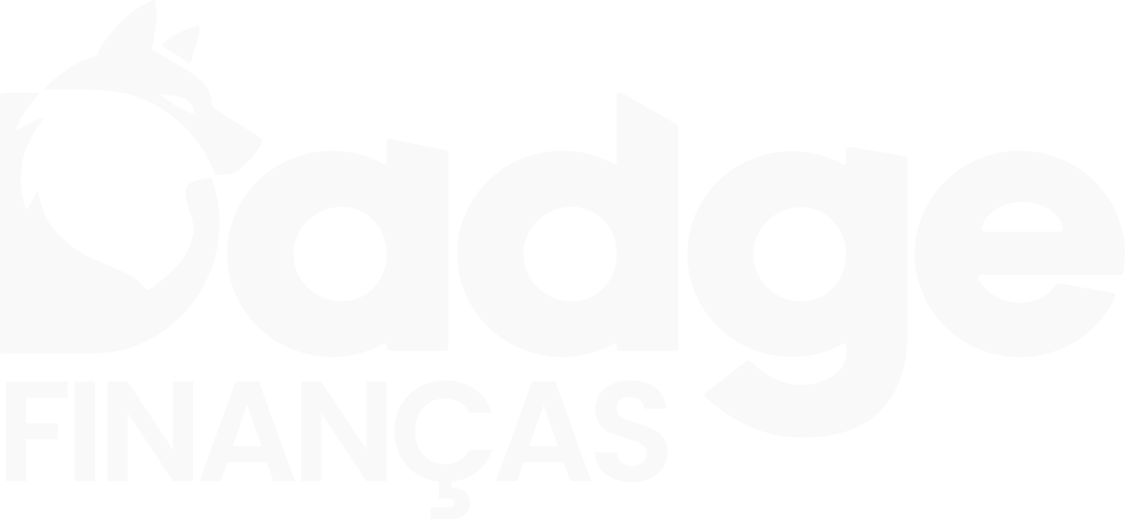 Dadge Finanças